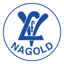 VfL Nagold e.V. Abteilung Fußball